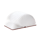 Lumibook Table Lamp