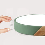 Nordic Wooden LED Ceiling Light