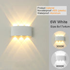 Up-Down LED Wall Sconce